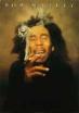vivvv bob